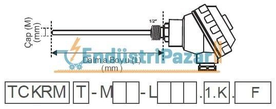 TCKRMT-M06-L400.1.K DALMA BOYU 400MM ÇAP 6MM K TİPİ TRANSMİTTERLİ SICAKLIK SENSÖRÜ AISI310 EMKO