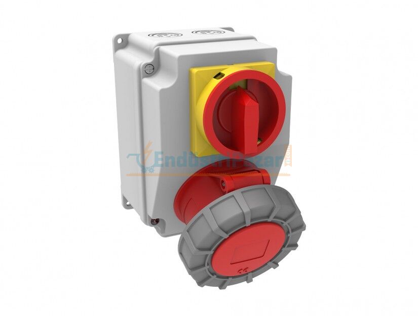 Ön 1 Adet Pako Şalter, Ön 1 Adet 5*32A 380V Makine Prizli IP66 Mini Kombinasyon BD7-6130-1090 BEMİS