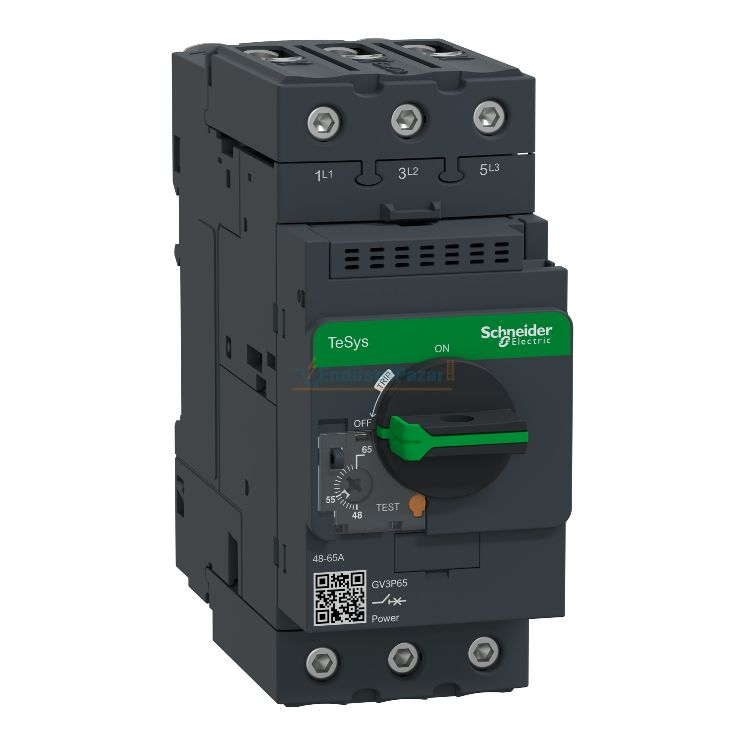 48-65A Motor Koruma Şalteri GV3P65 SCHNEİDER