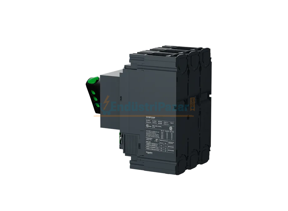 220A Motor Koruma Şalteri GV5P220F SCHNEİDER