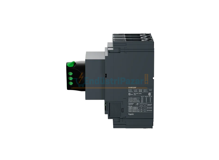 220A Motor Koruma Şalteri GV5P220F SCHNEİDER