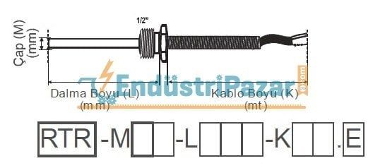 RTR-M06-L150-K02.1 DALMA BOYU 150MM TÜP ÇAPI 6MM 1/2`` REKORLU 2MT KABLOLU BAYONET PT-100 AISI304 EMKO