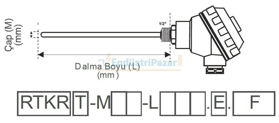 RTKR-M06-L050.1 DALMA BOYU 50MM ÇAP 6MM KAFALI TİP PT-100 AISI304 EMKO