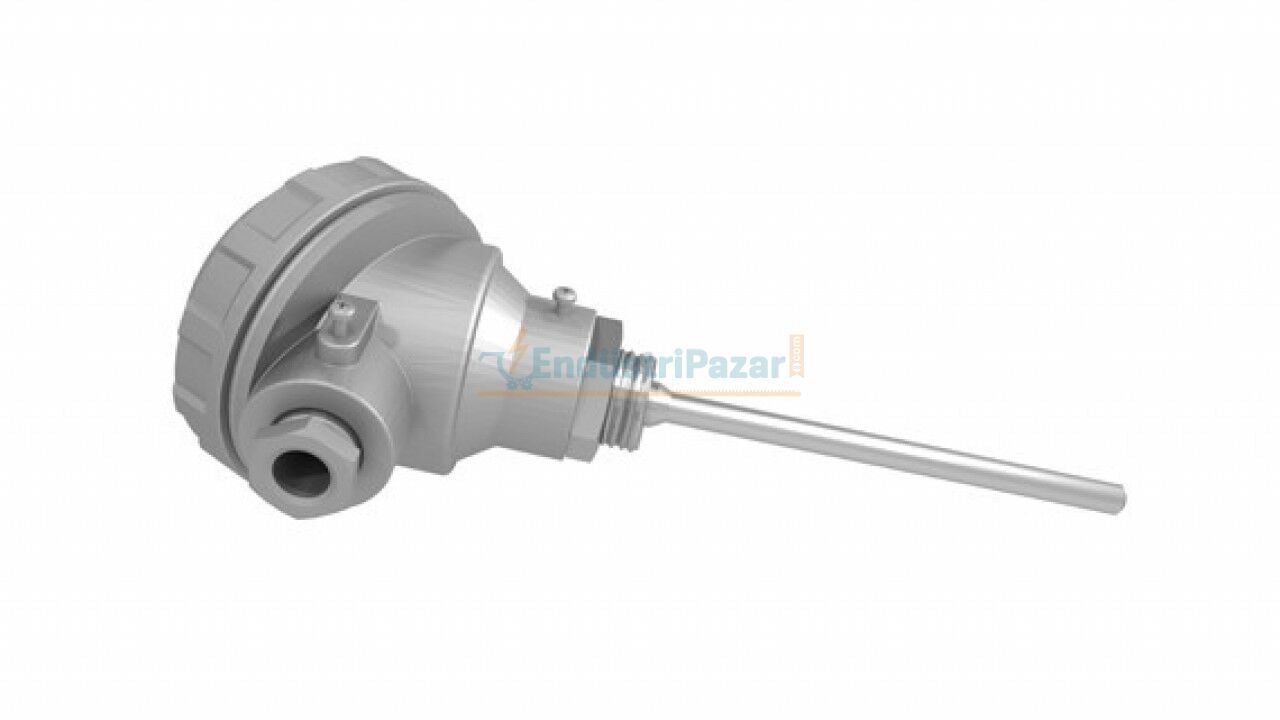 RTKR-M06-L050.1 DALMA BOYU 50MM ÇAP 6MM KAFALI TİP PT-100 AISI304 EMKO