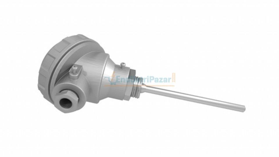 RTKR-M06-L050.1 DALMA BOYU 50MM ÇAP 6MM KAFALI TİP PT-100 AISI304 EMKO