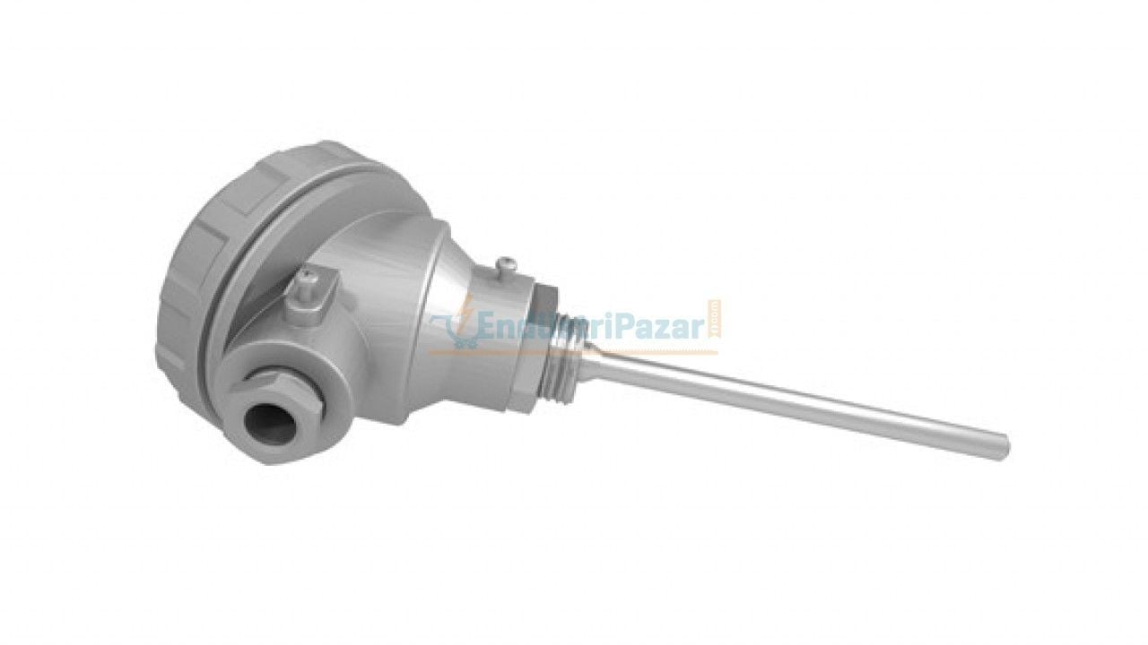 RTKR-M06-L100.1 DALMA BOYU 100MM ÇAP 6MM KAFALI TİP PT-100 AISI304 EMKO