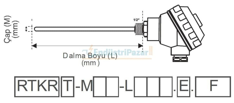 RTKR-M06-L050.1 DALMA BOYU 50MM ÇAP 6MM KAFALI TİP PT-100 AISI316 EMKO