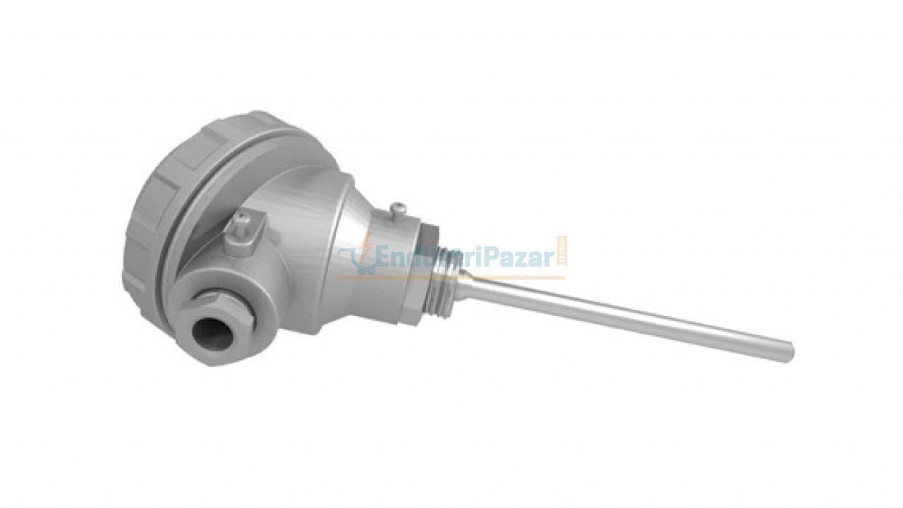 RTKR-M06-L100.1 DALMA BOYU 100MM ÇAP 6MM KAFALI TİP PT-100 AISI316 EMKO