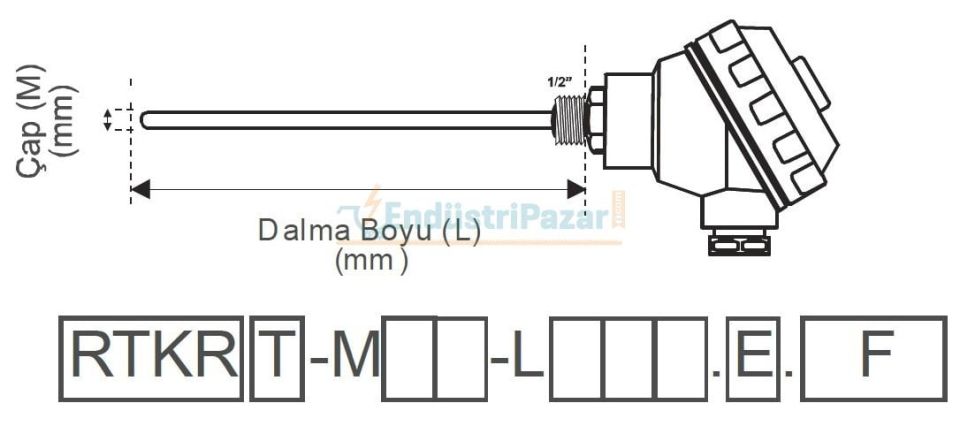 RTKR-M06-L100.2 DALMA BOYU 100MM ÇAP 6MM KAFALI TİP 2*PT-100 AISI316 EMKO