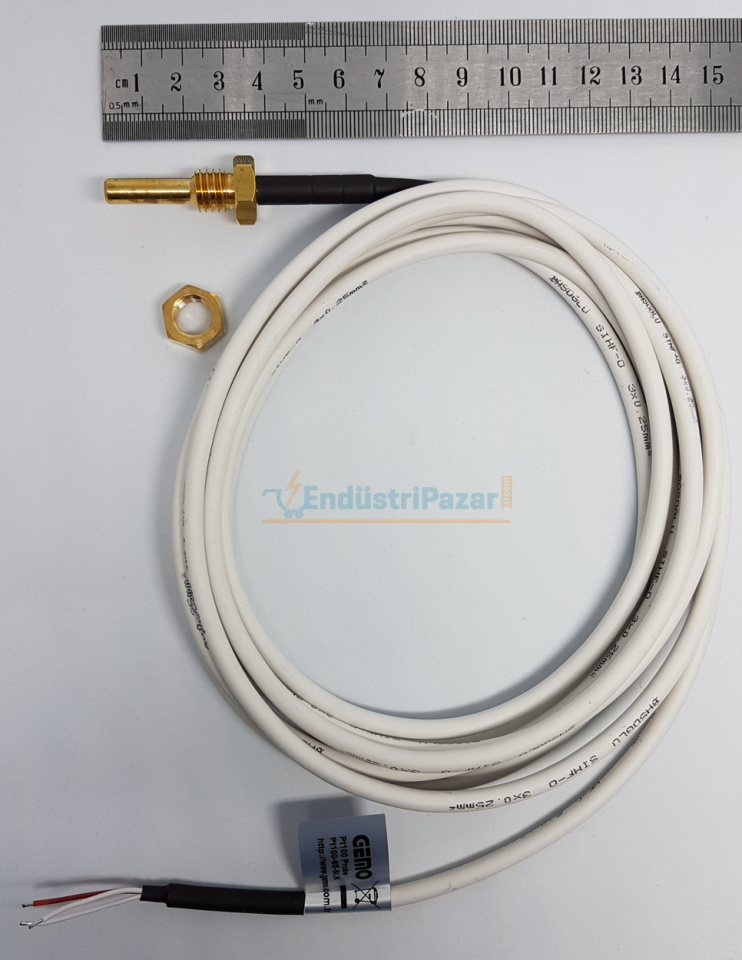 PT100-6S-SLK-1M 1/4'' Rekorlu PT-100 GEMO