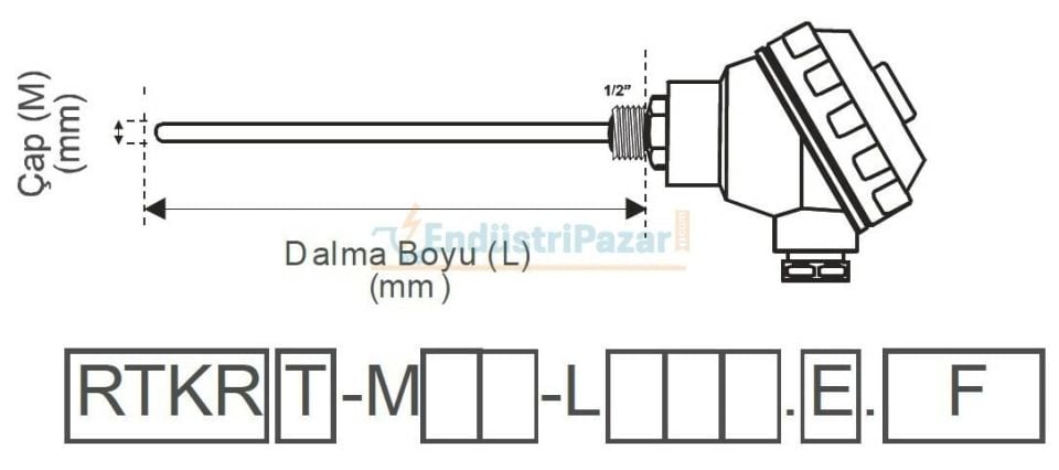 RTKR-M08-L050.2 DALMA BOYU 50MM ÇAP 8MM KAFALI TİP 2*PT-100 AISI304 EMKO