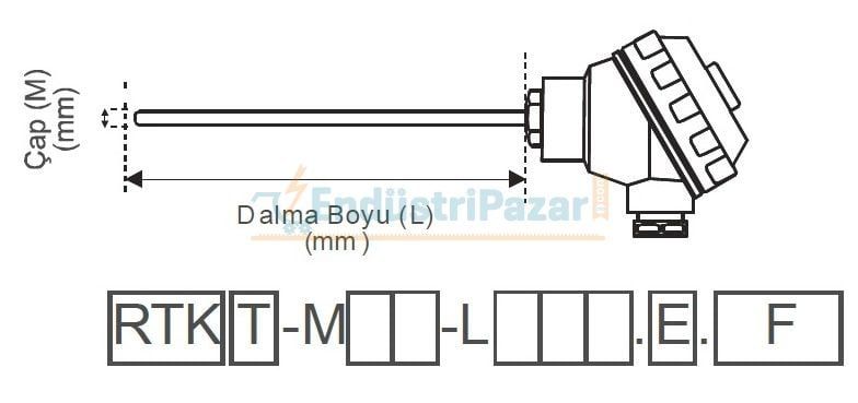 RTK-M06-L100.2 DALMA BOYU 100MM ÇAP 6MM KAFALI TİP 2*PT-100 AISI304 EMKO