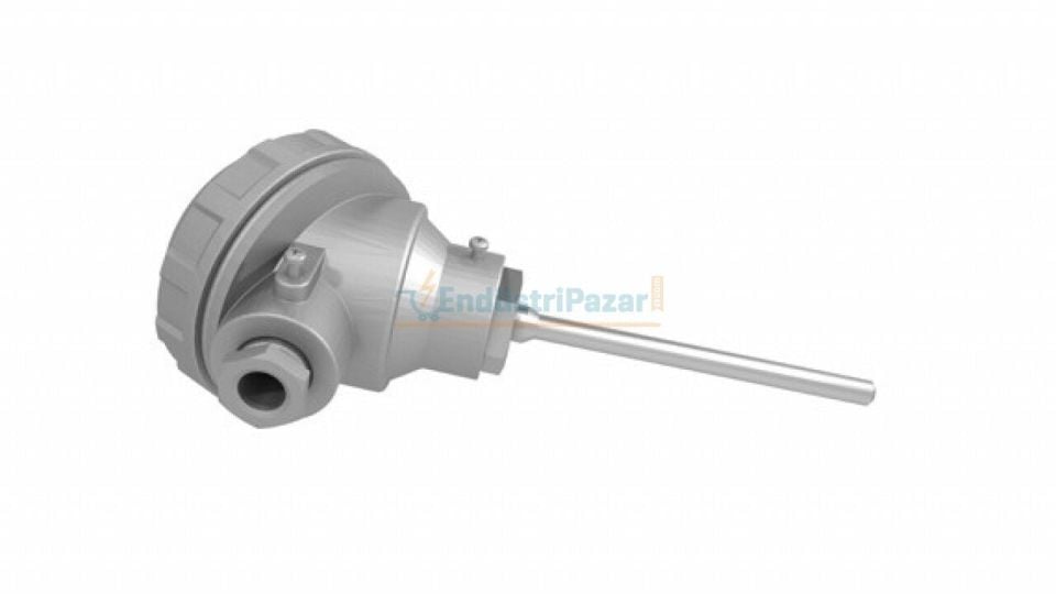 RTK-M08-L200.1 DALMA BOYU 200MM ÇAP 8MM KAFALI TİP PT-100 AISI304 EMKO