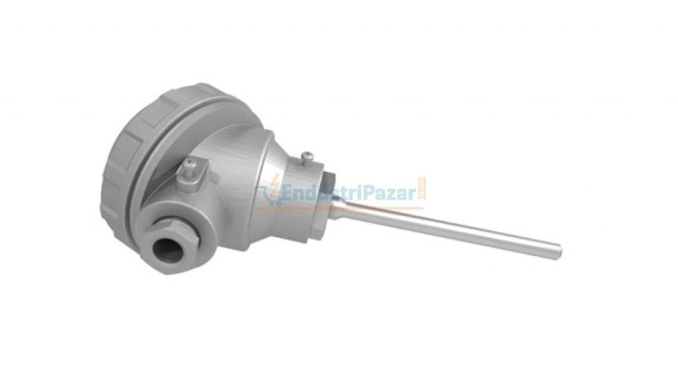 RTKT-M08-L300.1 DALMA BOYU 300MM ÇAP 8MM KAFALI TİP PT-100 TRANSMİTTERLİ AISI316 EMKO
