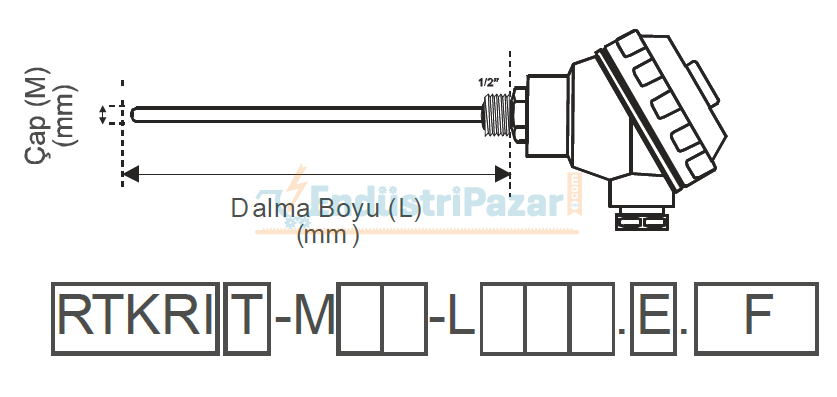 RTKRIT-M10-L200.1 DALMA BOYU 200MM ÇAP 10MM KAFALI TİP PT-100 REKORLU TRANSMİTTERLİ İNSETLİ AISI304 EMKO