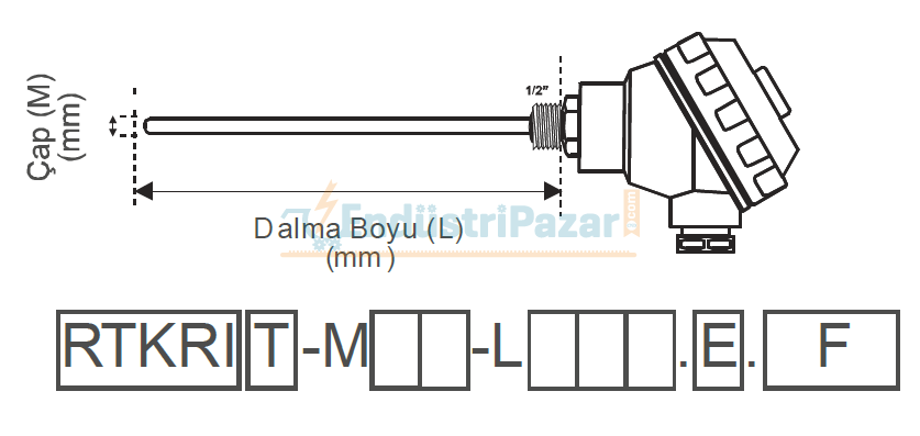 RTKRIT-M10-L100.1 DALMA BOYU 100MM ÇAP 10MM KAFALI TİP PT-100 REKORLU TRANSMİTTERLİ İNSETLİ AISI304 EMKO